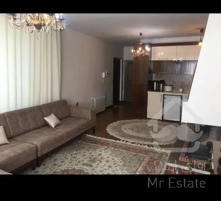 فروش 102 متر در دولت