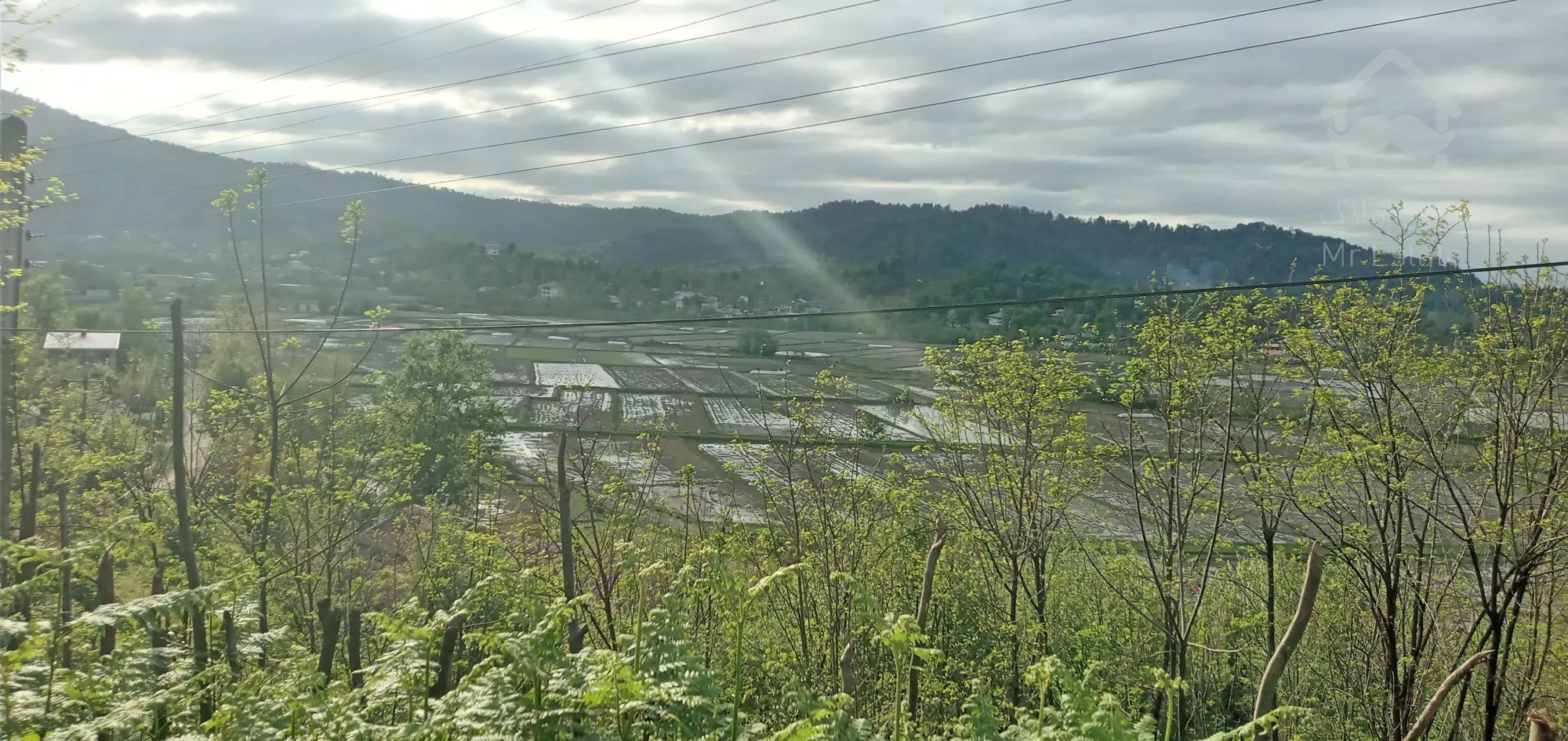 زمین مسکونی در توریستی ترین منطقه گیلان