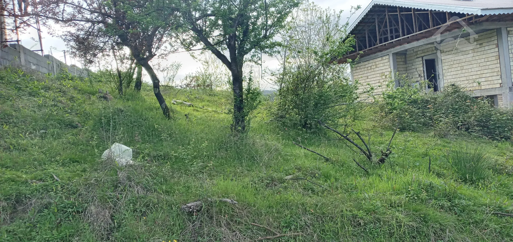 زمین مسکونی در توریستی ترین منطقه گیلان