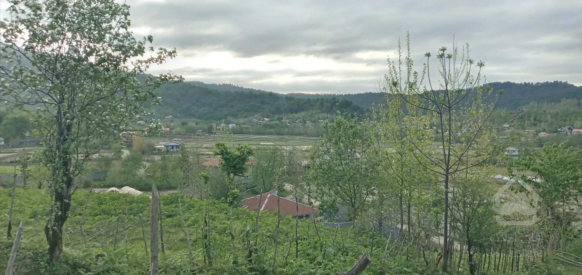 زمین مسکونی در توریستی ترین منطقه گیلان