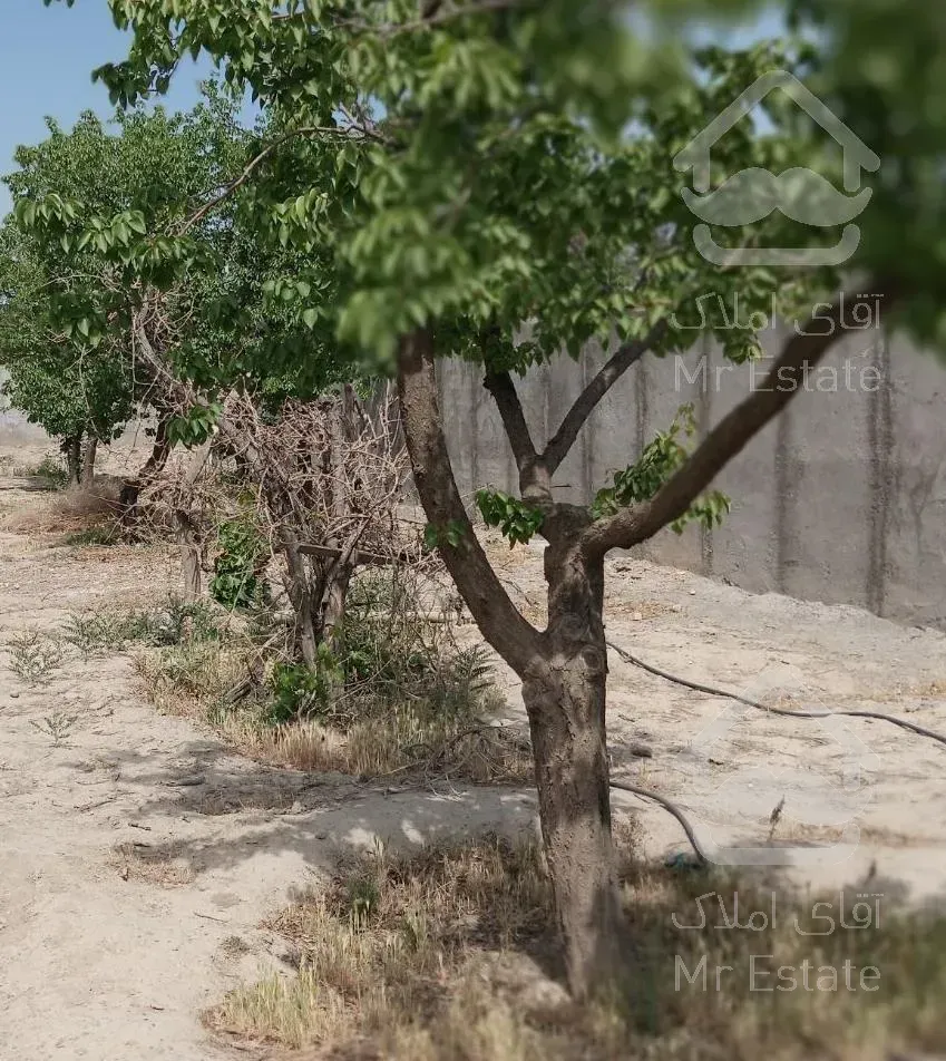 باغ دور دیوار 530متر بوستان کاظم اباد