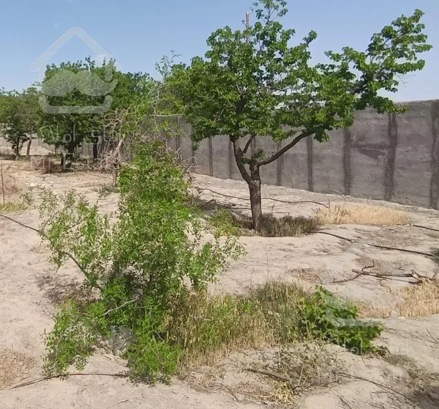 باغ دور دیوار 530متر بوستان کاظم اباد