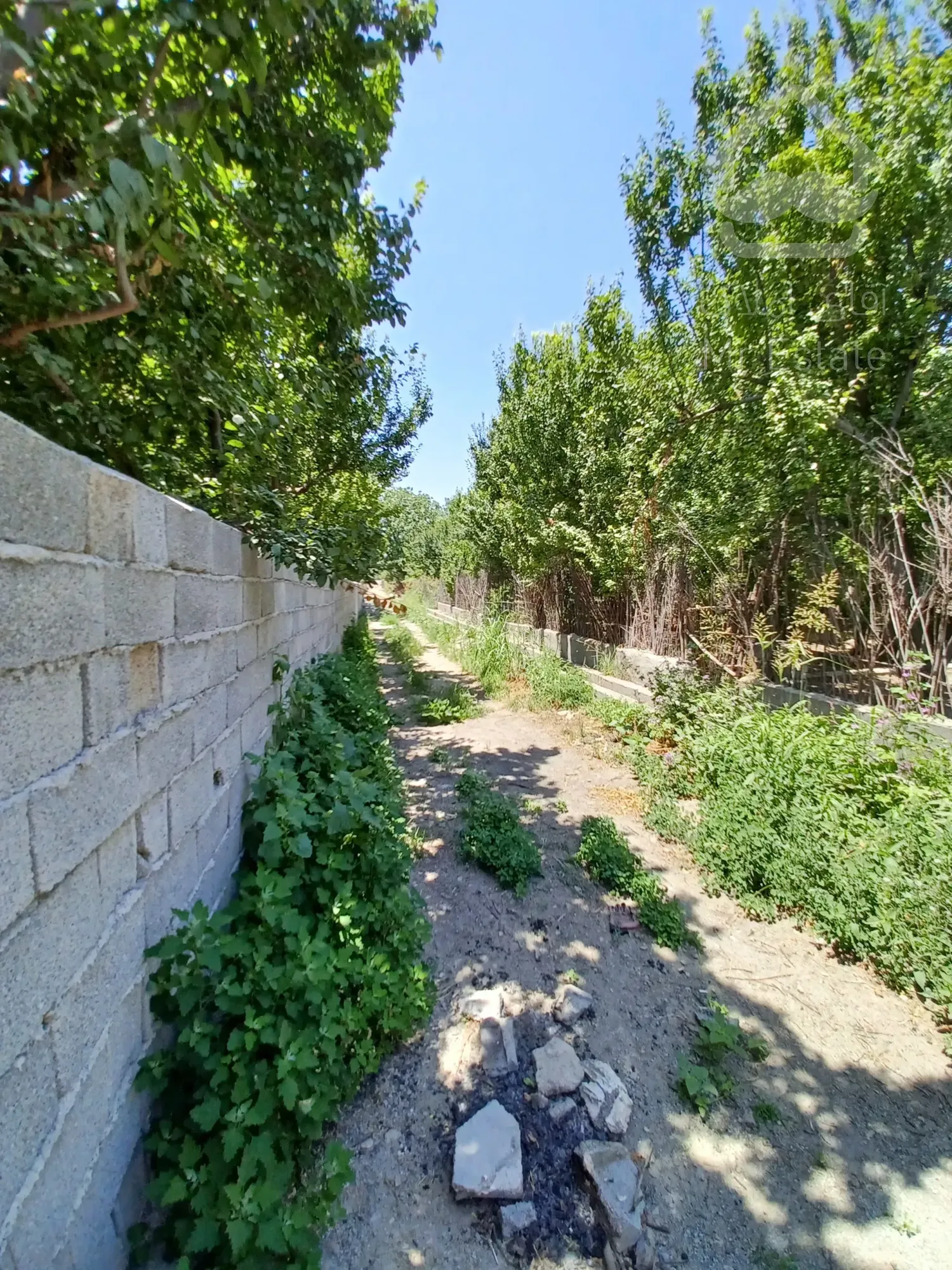 فروش ویژه باغ 1000 متری شهریار مجوز ساخت 500 متر ویلا