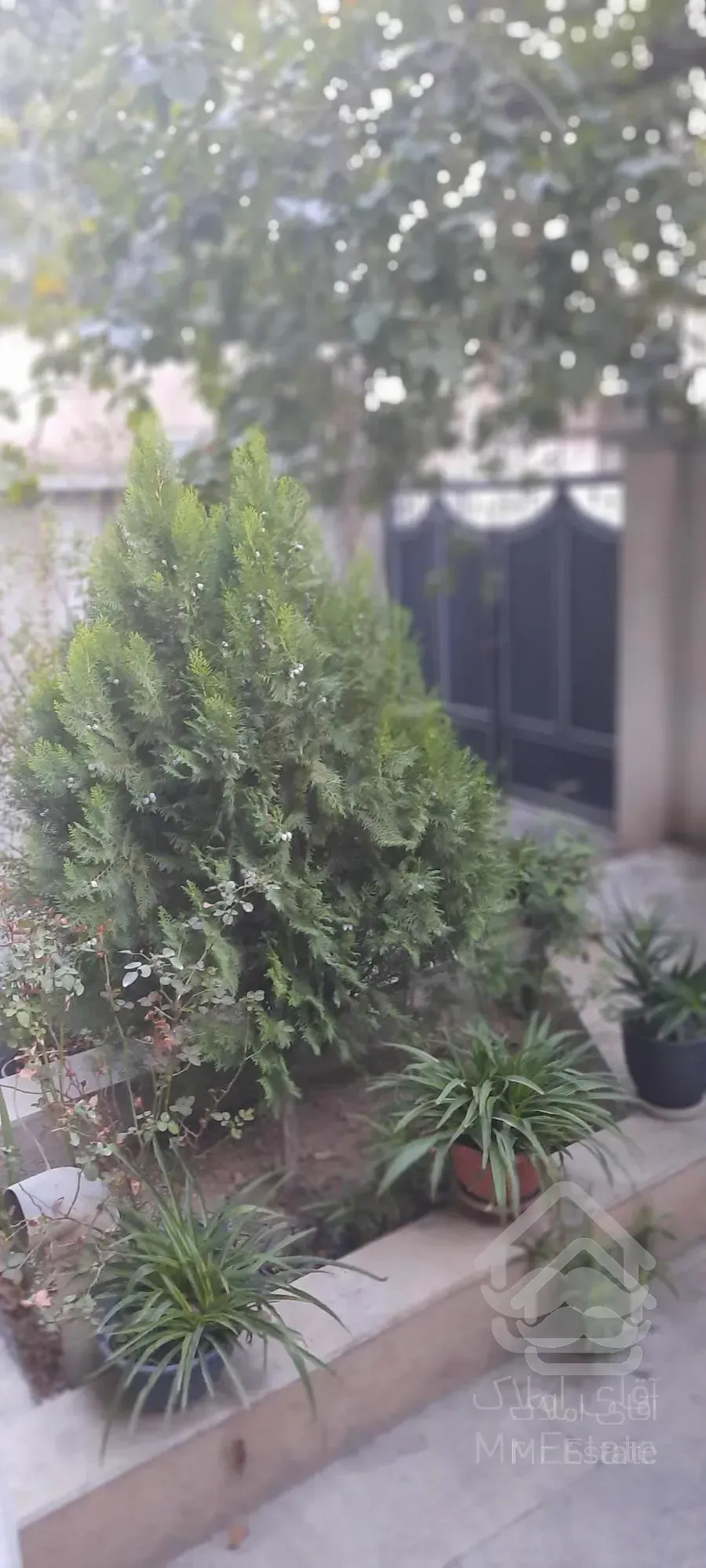 اجاره آپارتمان ۹۵ متری / ۲خواب/ هفت تیر ، خردمند جنوبی