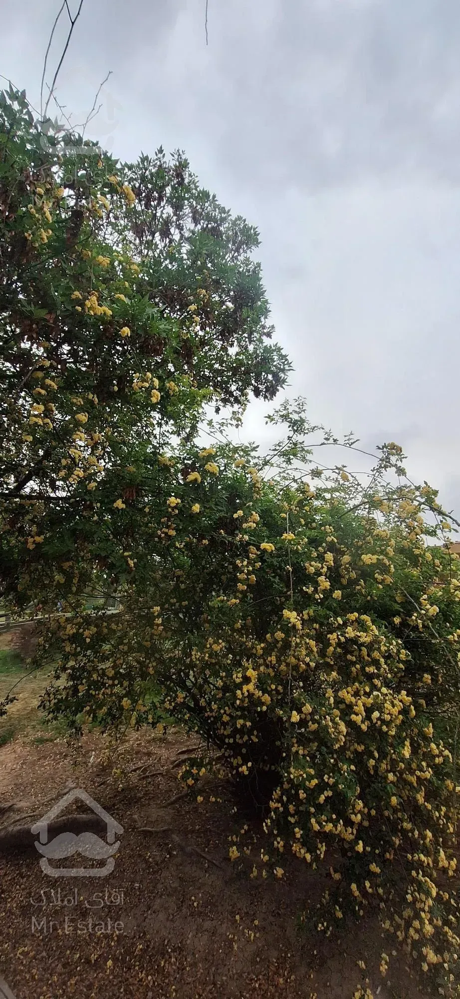 فروش کلنگی ۱۱۹ متر حکیمیه