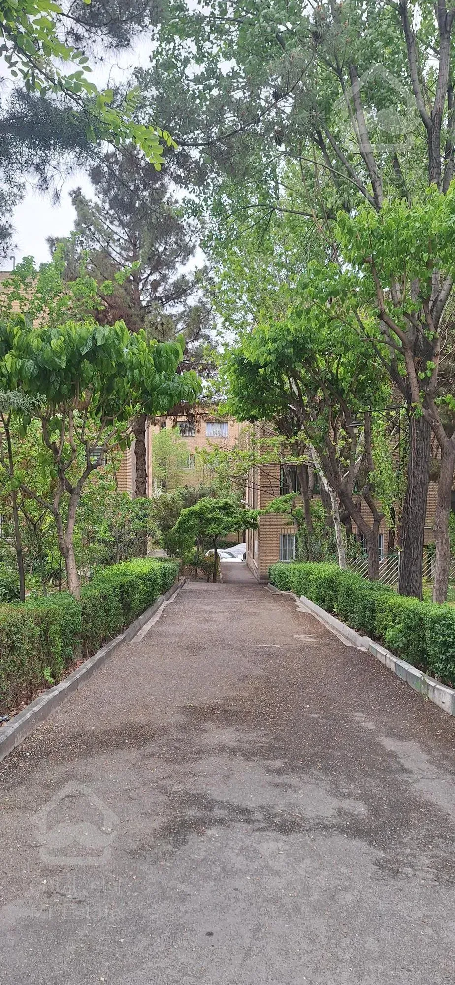 کلنگی ۲۲۵ متر حکیمیه