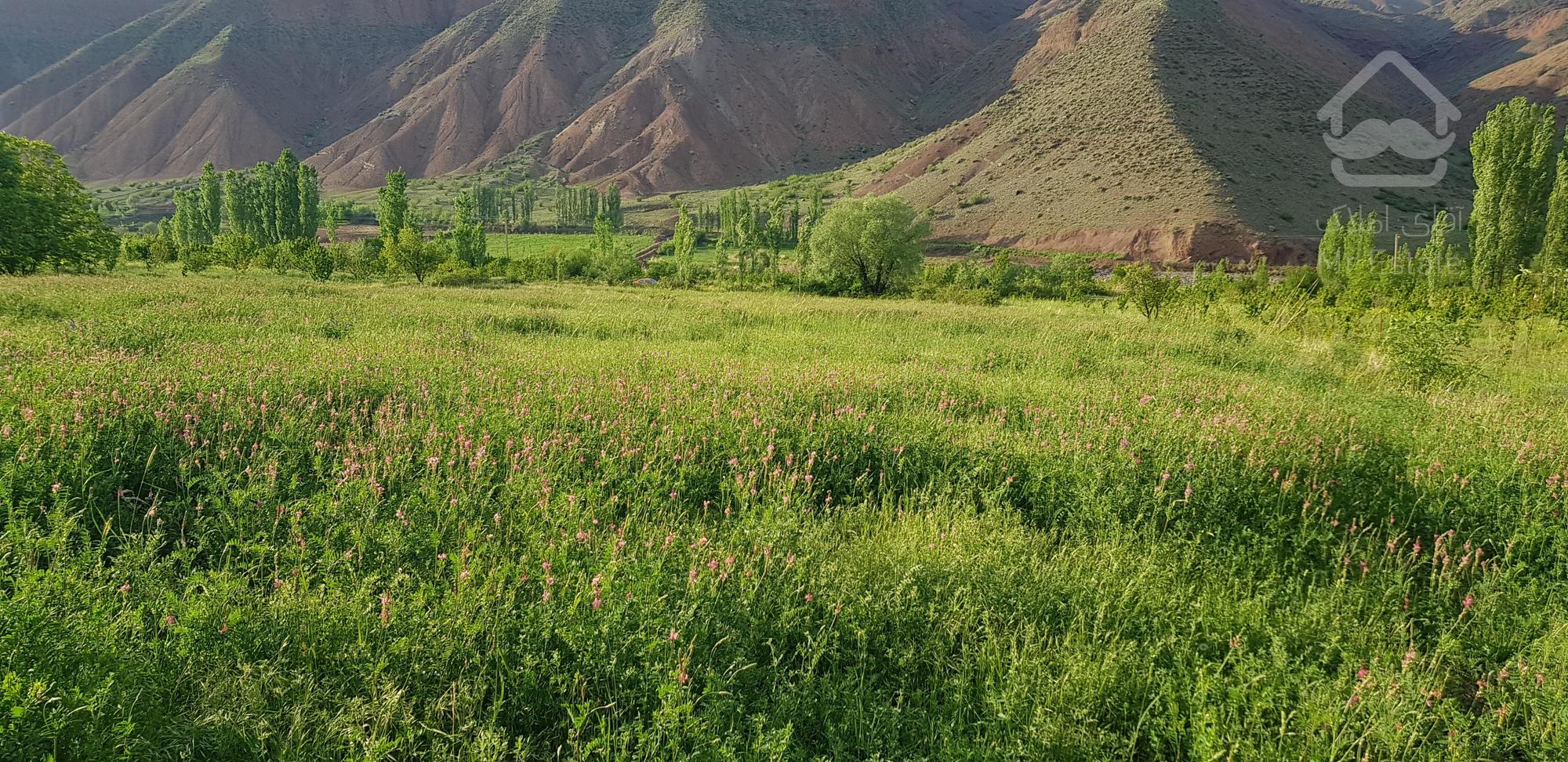 زمین کشاورزی ۵۰۰۰ متر