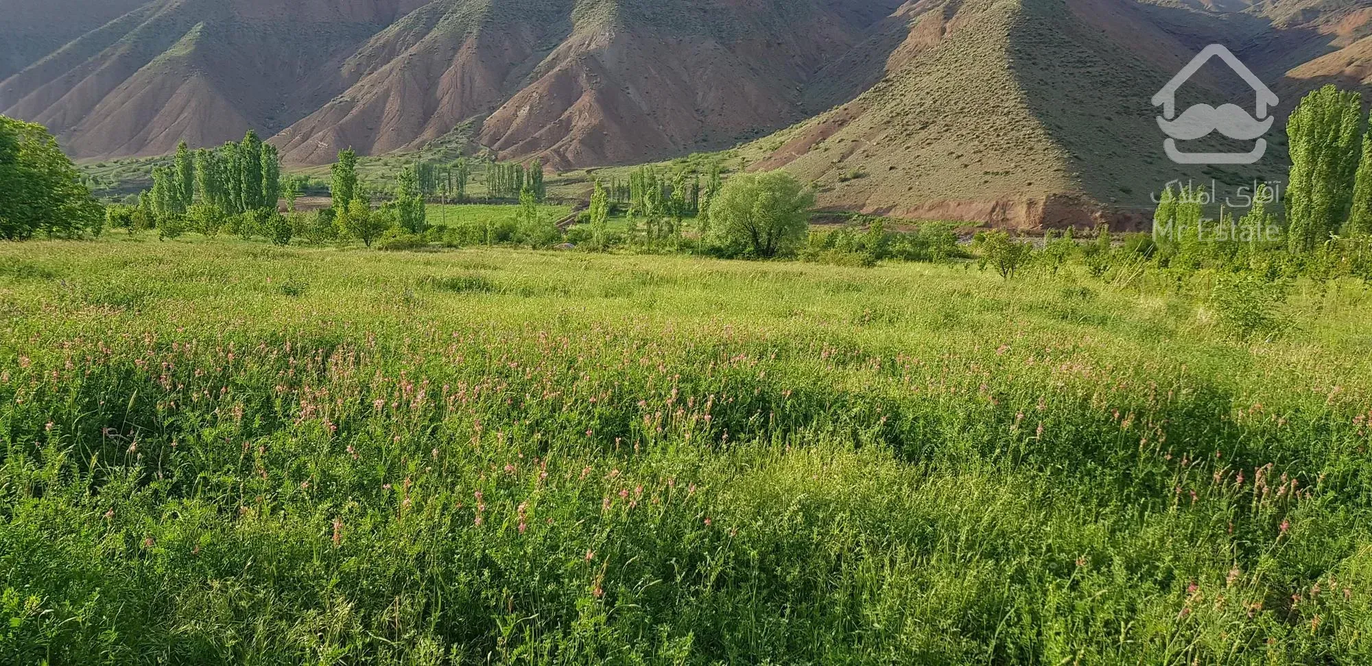 زمین کشاورزی ۵۰۰۰ متر