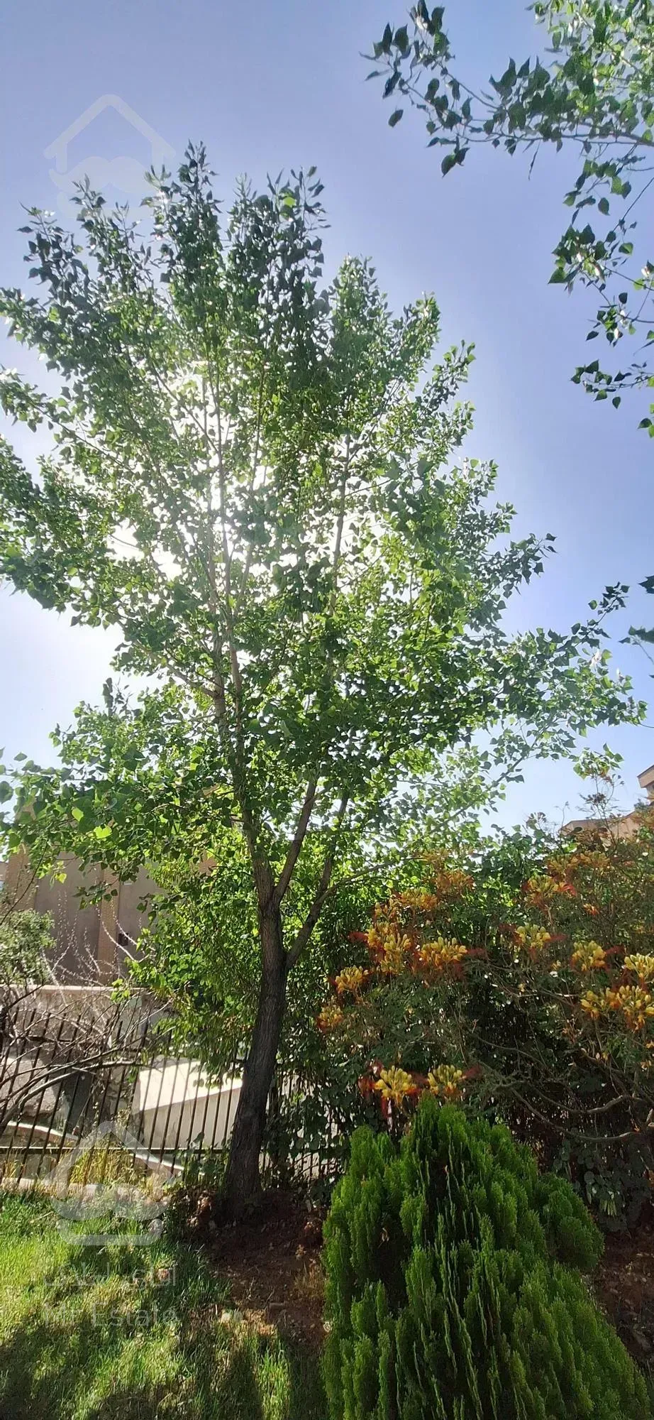 فروش ویلایی دوطبقه حکیمیه