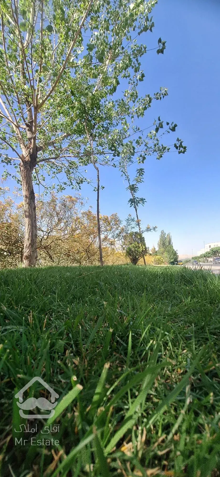 فرو ش سه دانگی حکیمی