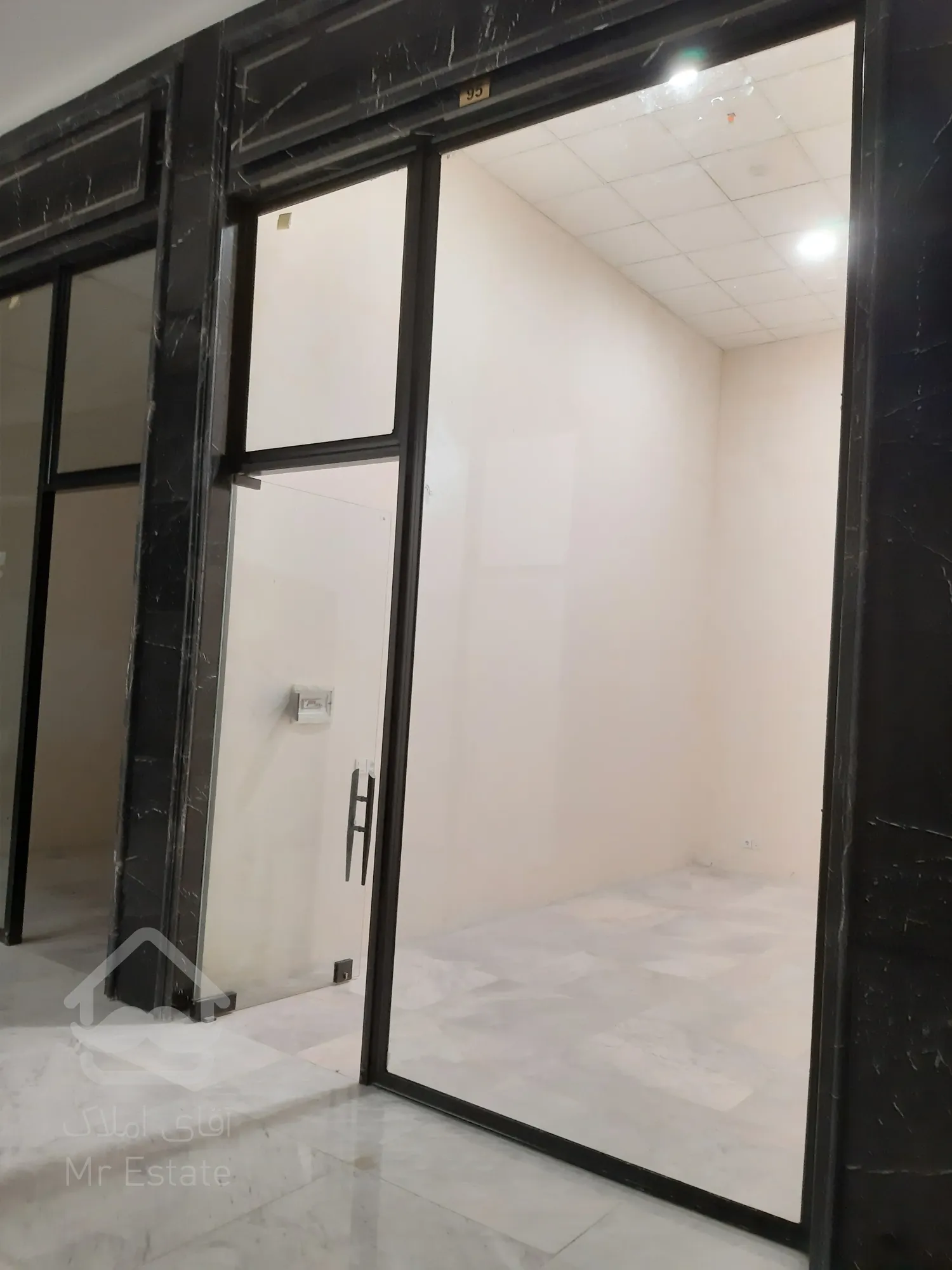 رونیکا مال هروی ، رؤیاهای تجاری شما