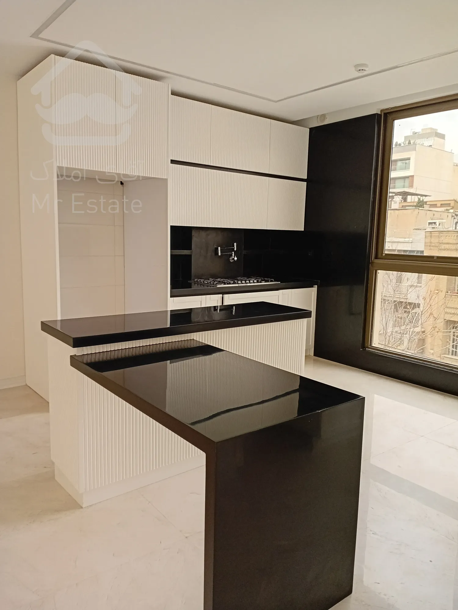 فروش 5 واحد مسکونی و 2 واحد تجاری به صورت یکجا در ونک