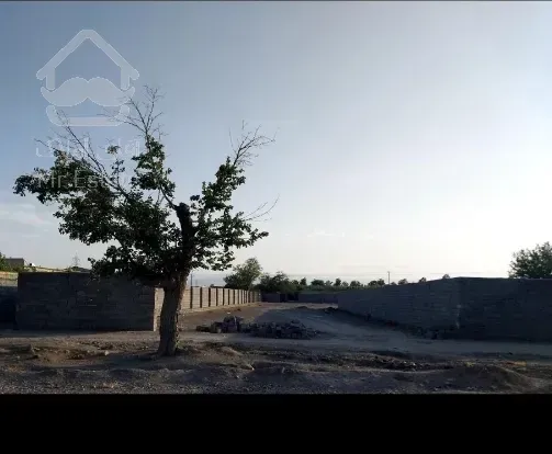 زمین شاندیز نیلوفر ناظریه