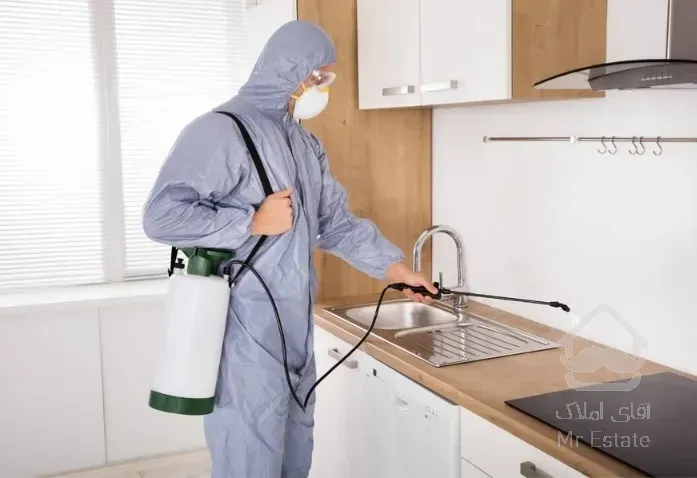 سمپاشی در شهرقدس شرکت سمپاشی شهرقدس سم پاشی سوسک ریز کابینتی و سوسک فاضلابی سمپاشی ساس کنه مایت موش