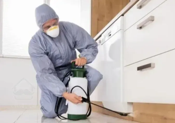 سمپاشی ساس در شهریار سمپاشی سوسک ریز و درشت در شهریار شرکت سم پاشی شهریار سمپاشی منزل ، رستوران ، محل کار