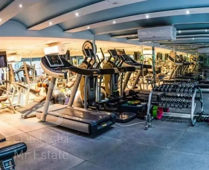 برج باغ دیپلمات نشین مجلل و مدرن