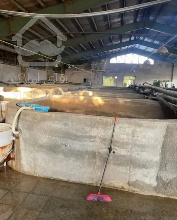 فروش پرورش ماهی مداربسته فعال و تعدادی قطعات زمین