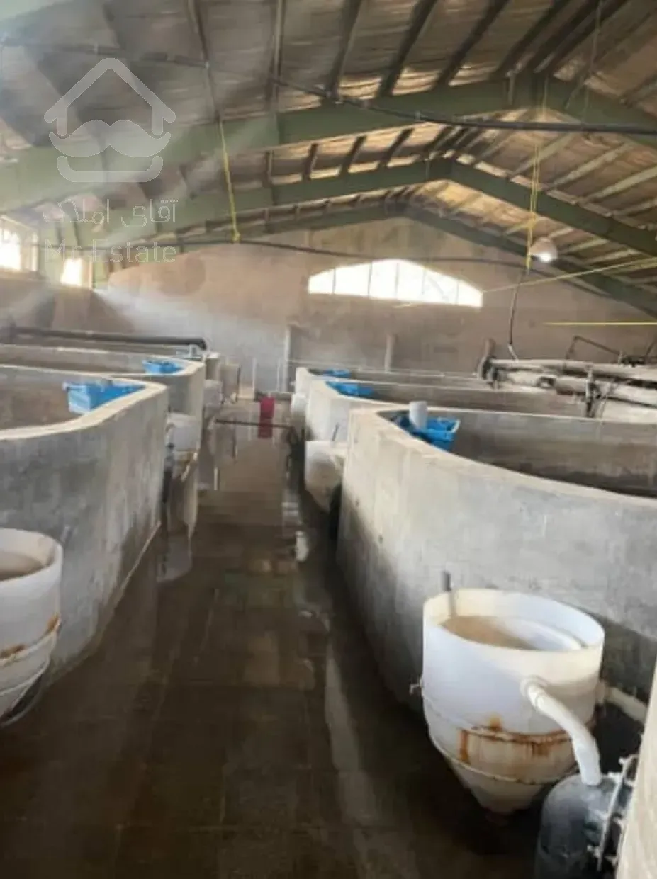 فروش پرورش ماهی مداربسته فعال و تعدادی قطعات زمین