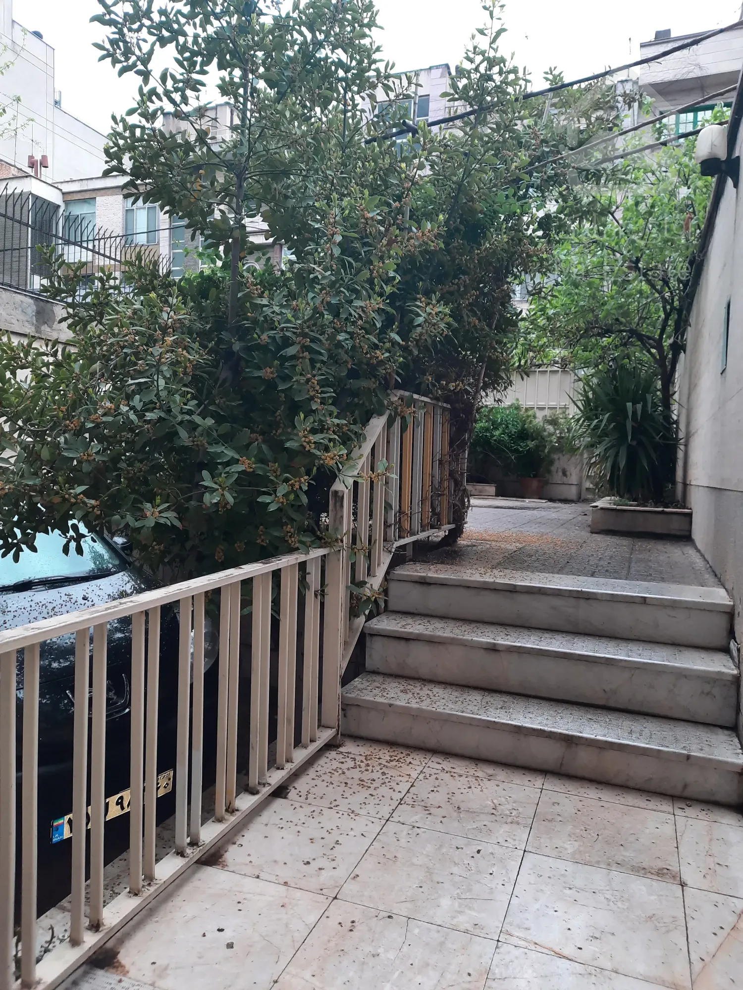 فروش آپارتمان ۱۰۰ متر ، عباس آباد میرعماد