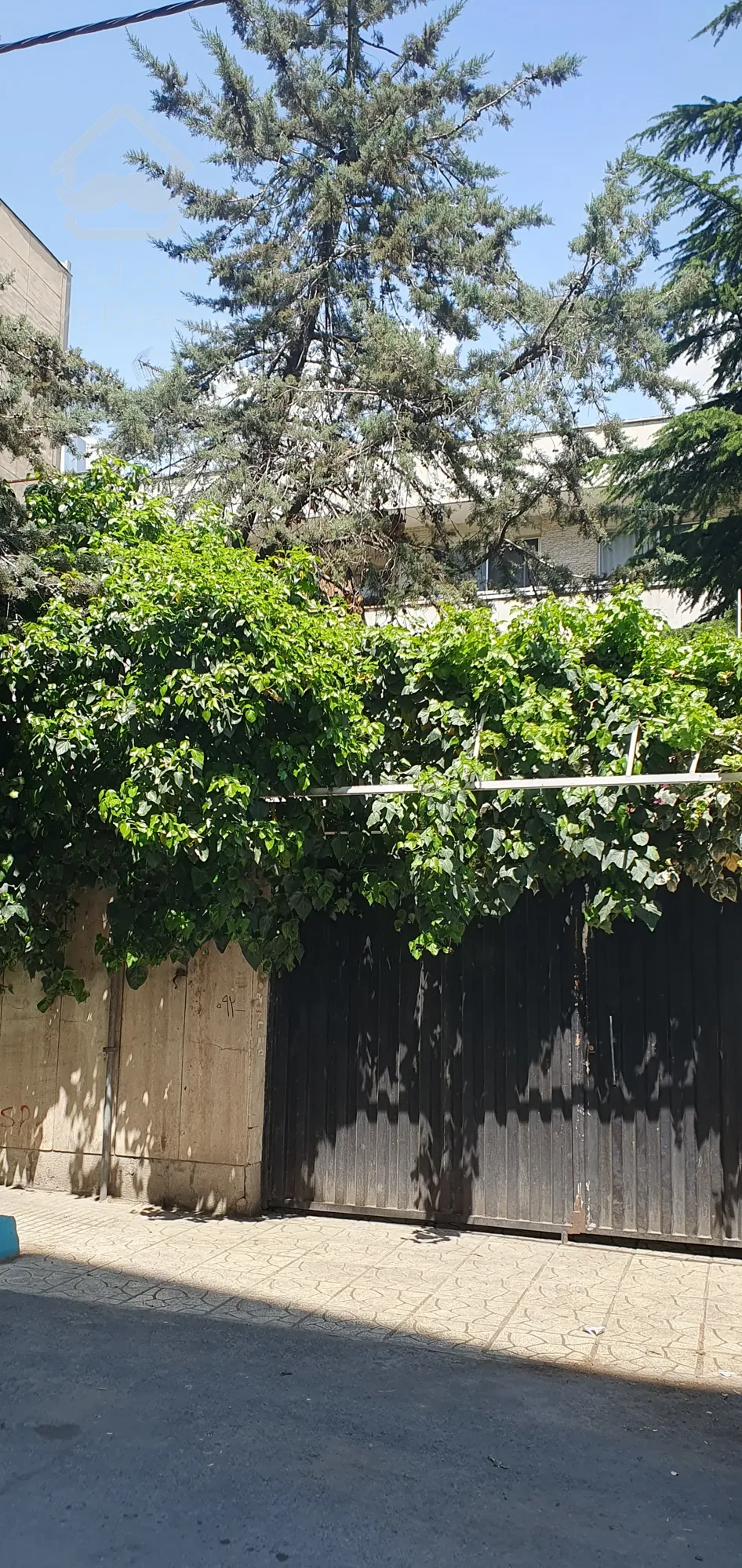 فروش کلنگی ۳۰۰ متر در جردن و ولیعصر