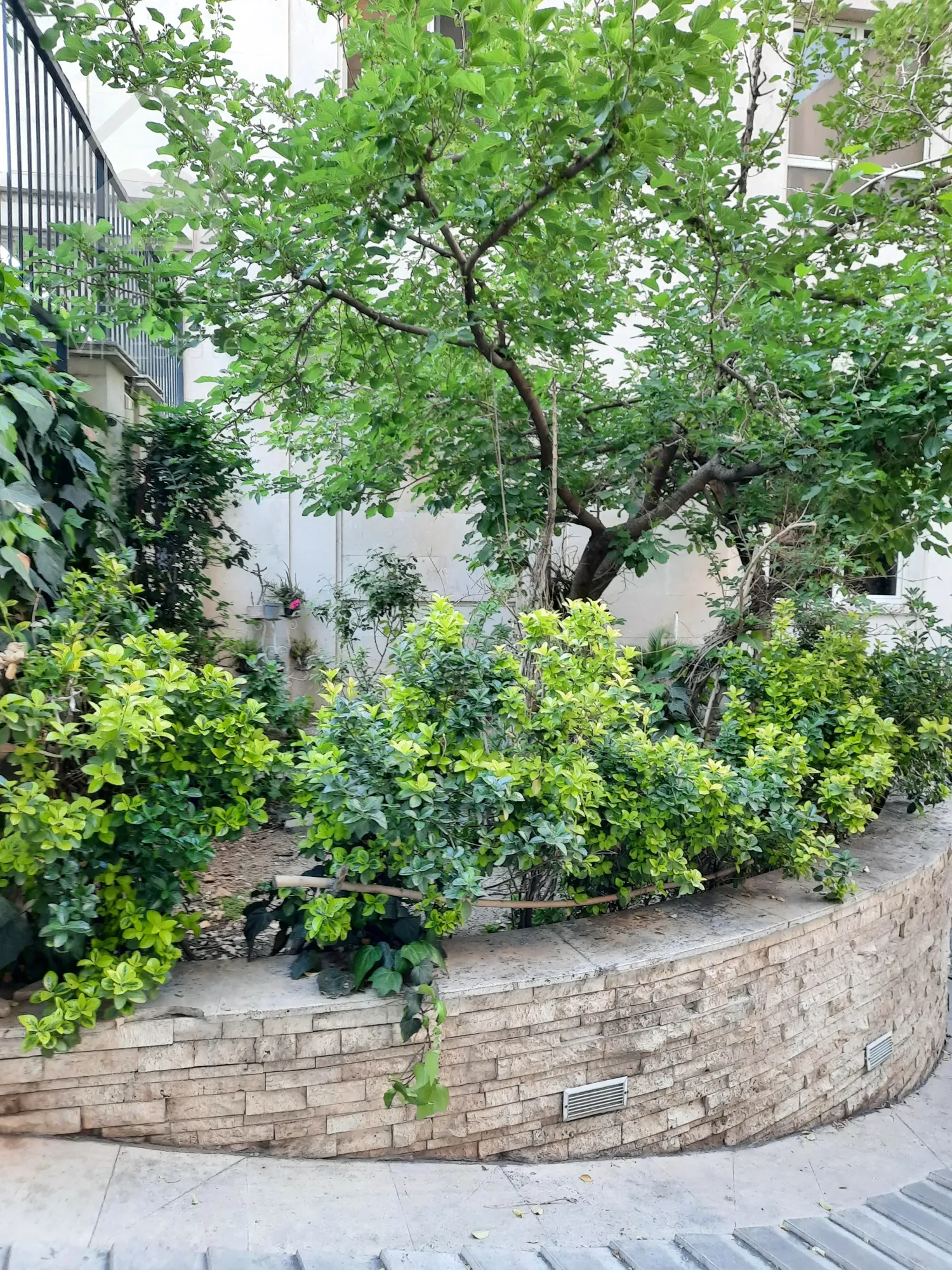 فروش آپارتمان ۸۶ متر فول امکانات در کریمخان خردمند