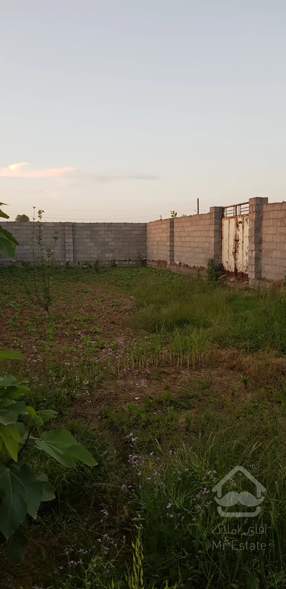 فروش زمین ۶۱۸ متر بلوار امام رضا لچه گوراب با امتیاز آب و برق