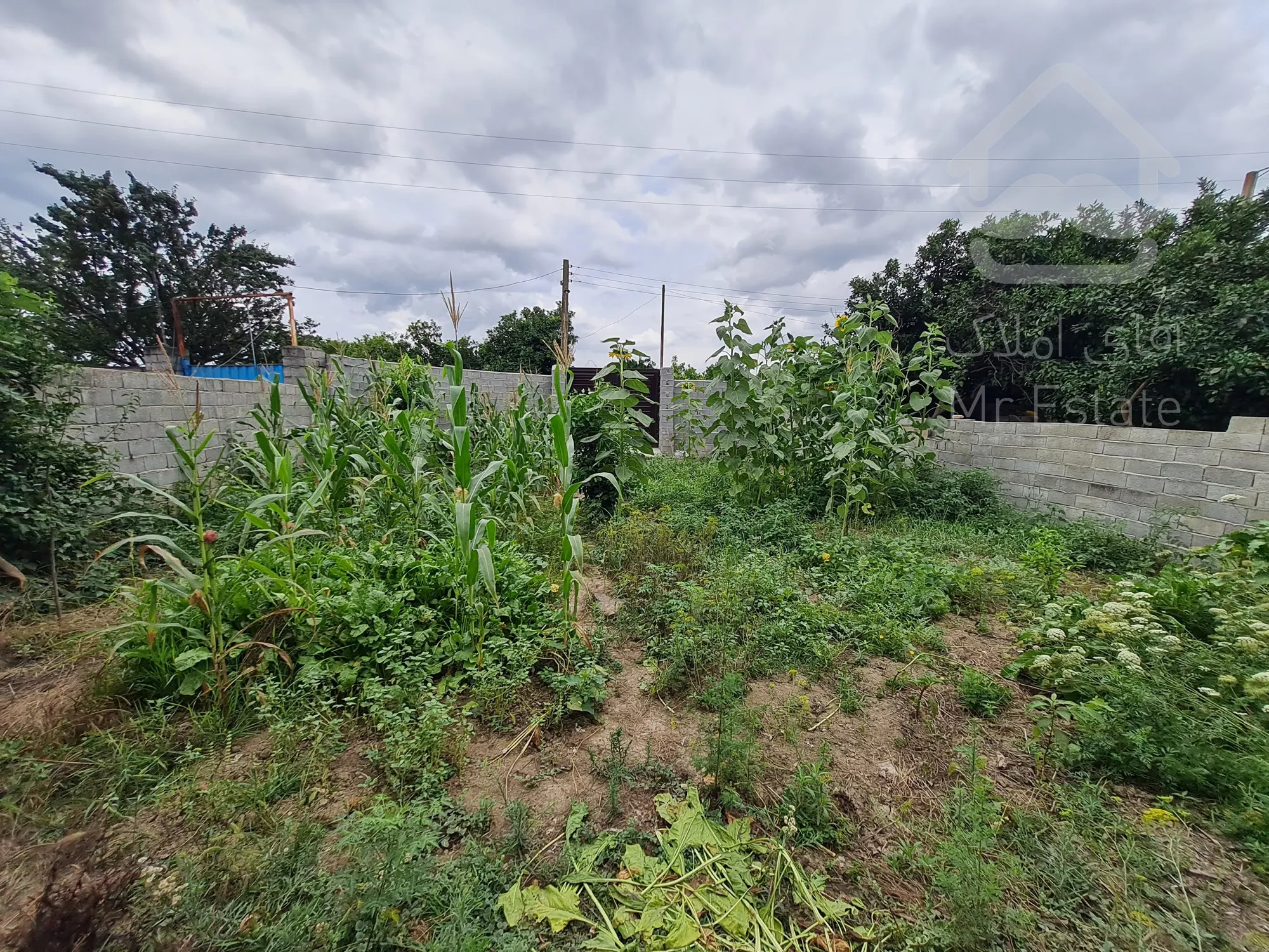 زمین ۳۰۰متری جاده کیاکلا