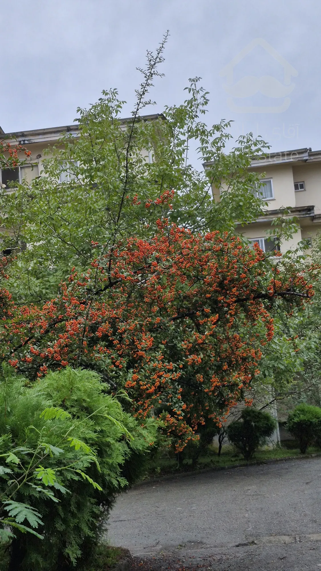 واحد دلباز / 84 متر مفید / سند تک برگ / شهرک توریستی لاکانشهر رشت