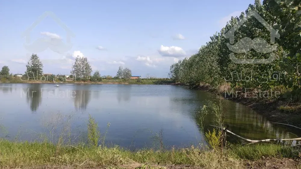 زمین 30 هکتاری در شمال با امکانات بینظیر