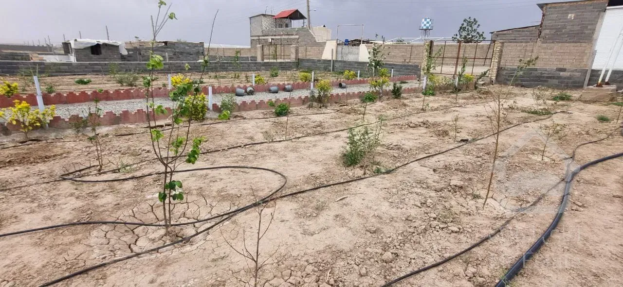 باغ-پیشوا-روستای سلمان آباد