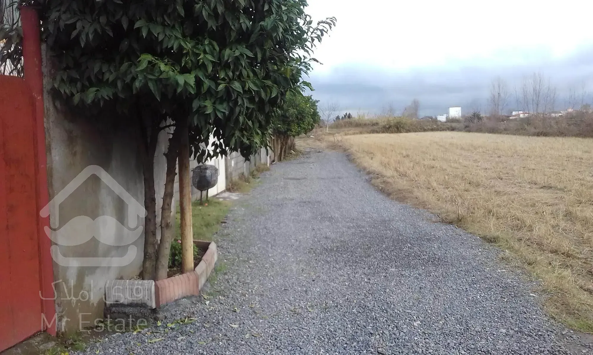 زمین بافت بنچاق دار باغی