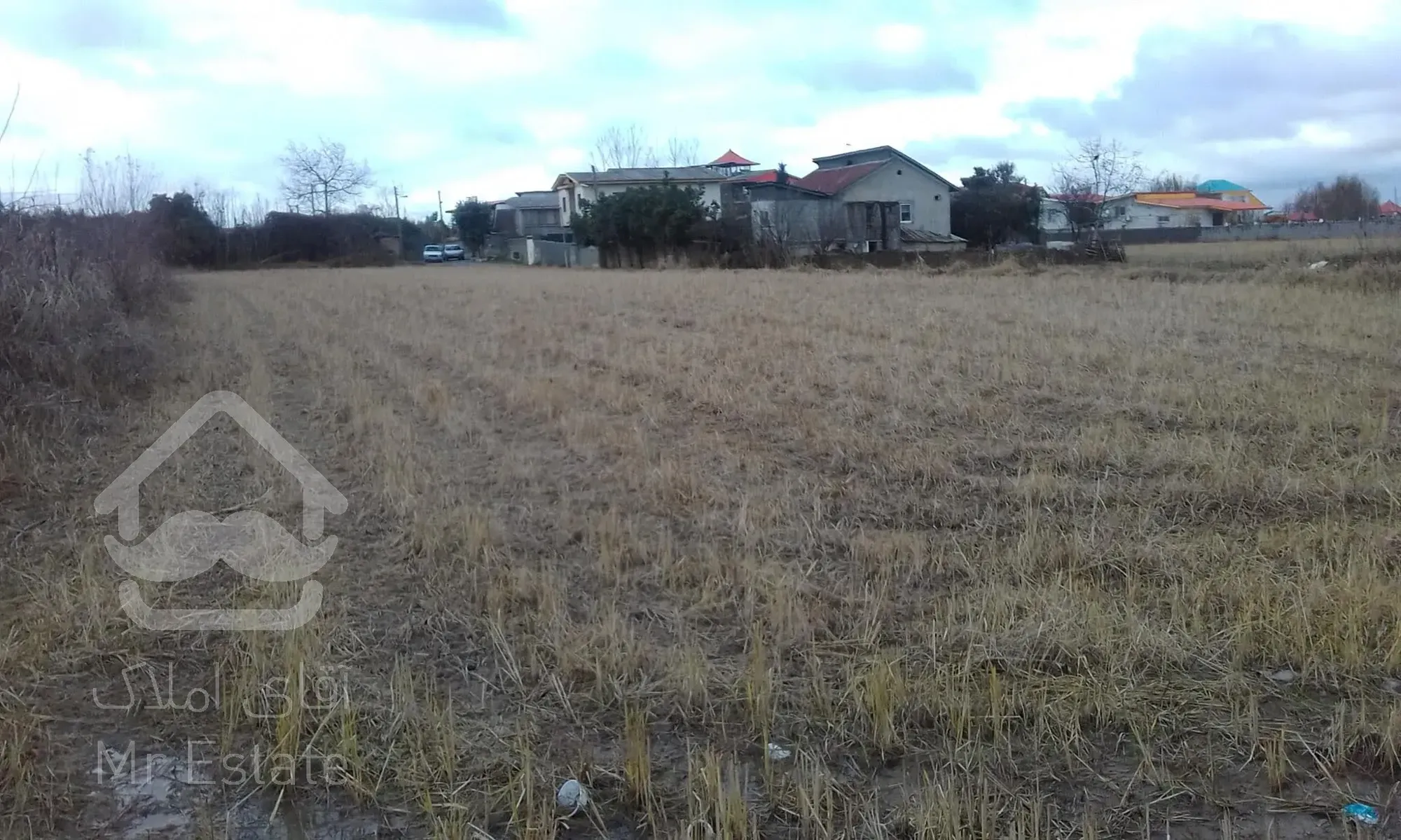 زمین بافت بنچاق دار باغی