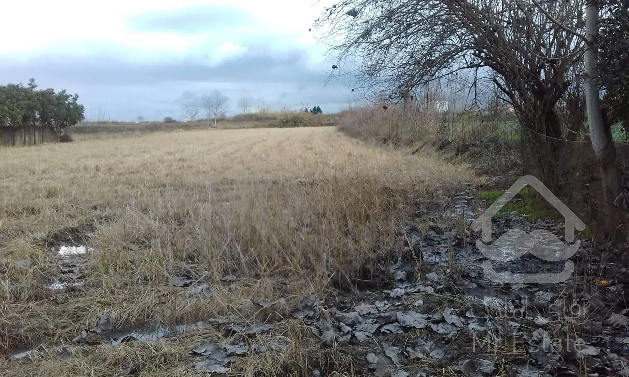 زمین بافت باغی یا داشتن بنچاق باغی