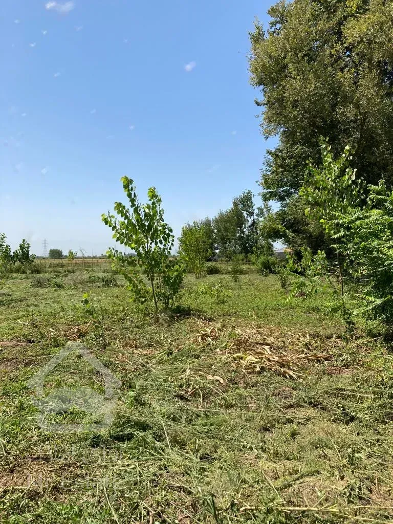 فروش زمین ۱۵۱۰متری در فاصله ی ۱۰دقیقه ی رشت