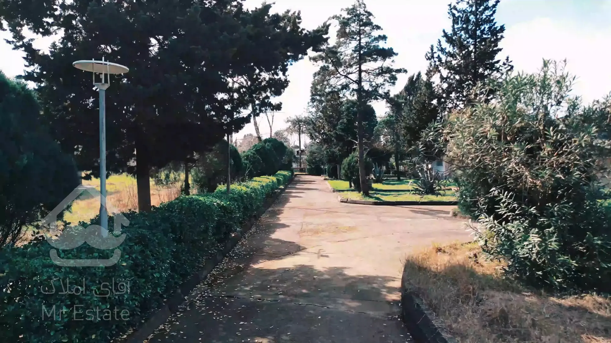 فروش 29 هزار متر زمین بر یک ساحل دهکده ساحلی بندر انزلی