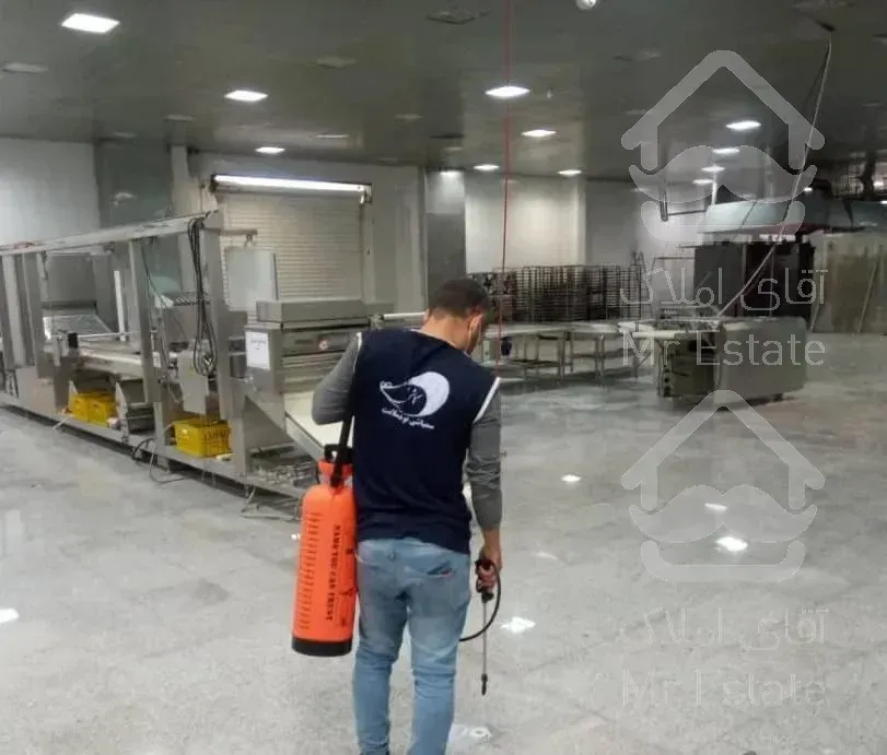 سمپاشی حشرات و جوندگان موذی