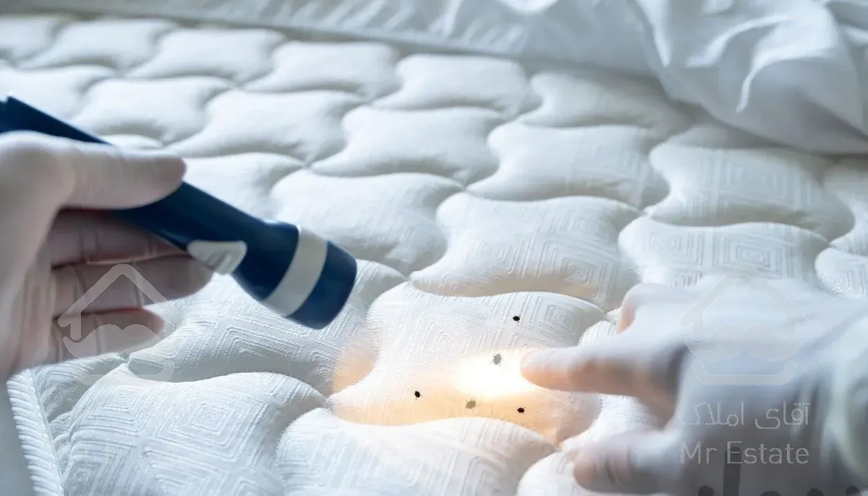 خدمات باغبانی وسمپاشی منازل صددرصد تضمینی