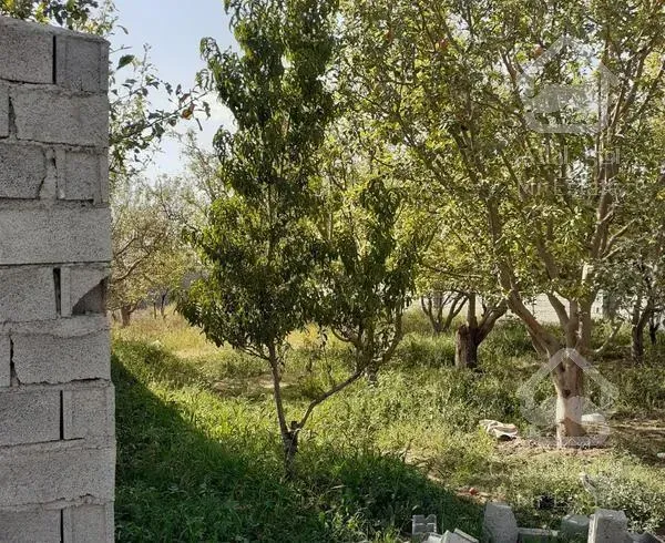 ۵۰۰ متر باغچه جابان