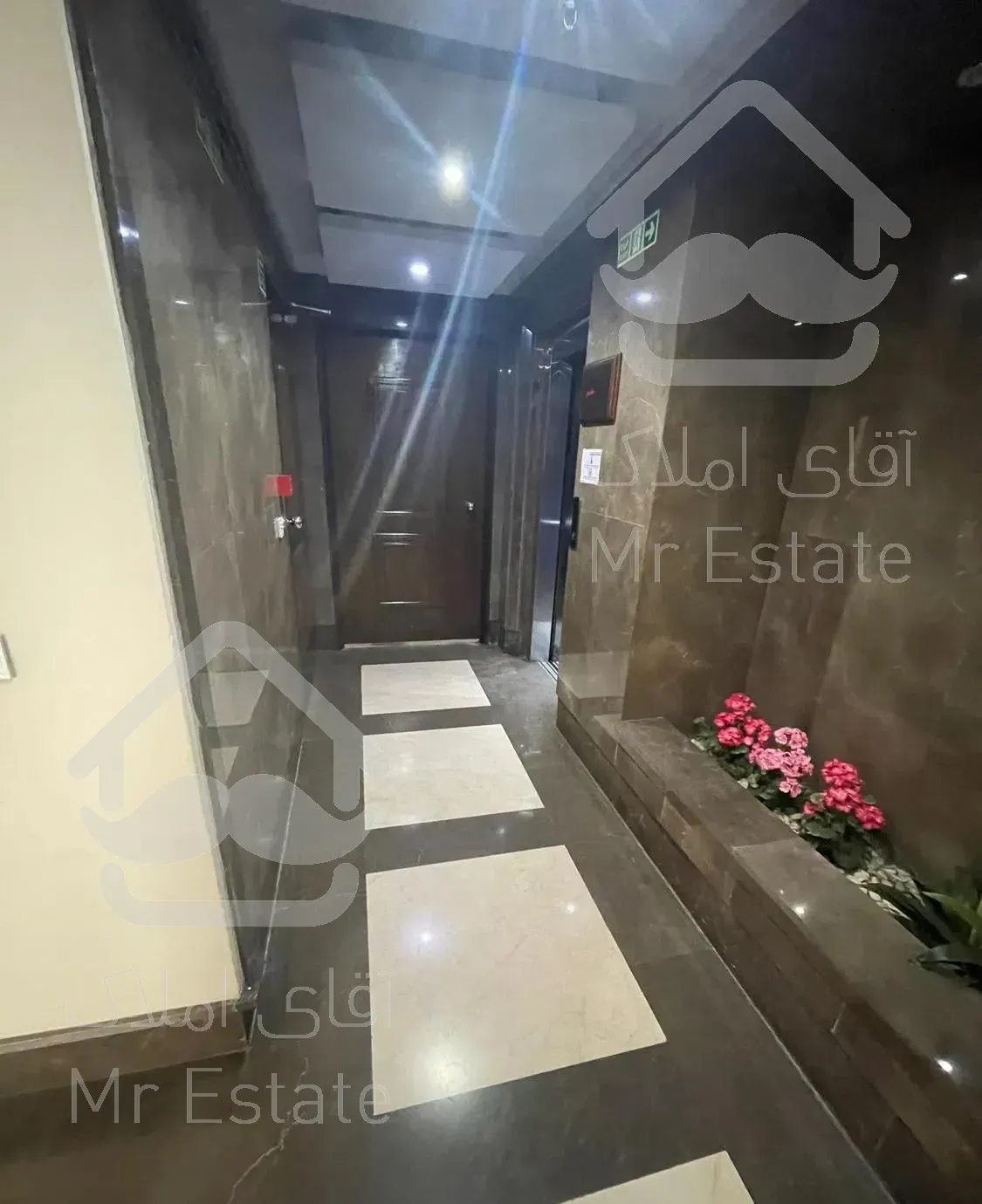 هروی افتخاریان ویودارو غرق نور