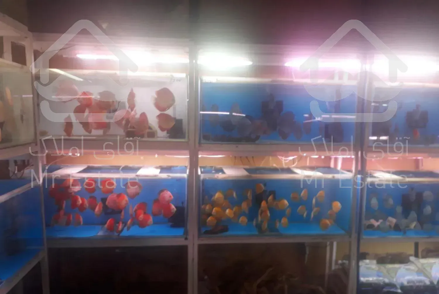 ۳۸.۵ متر مربع مغازه تجاری/ بازار سنتی ستارخان