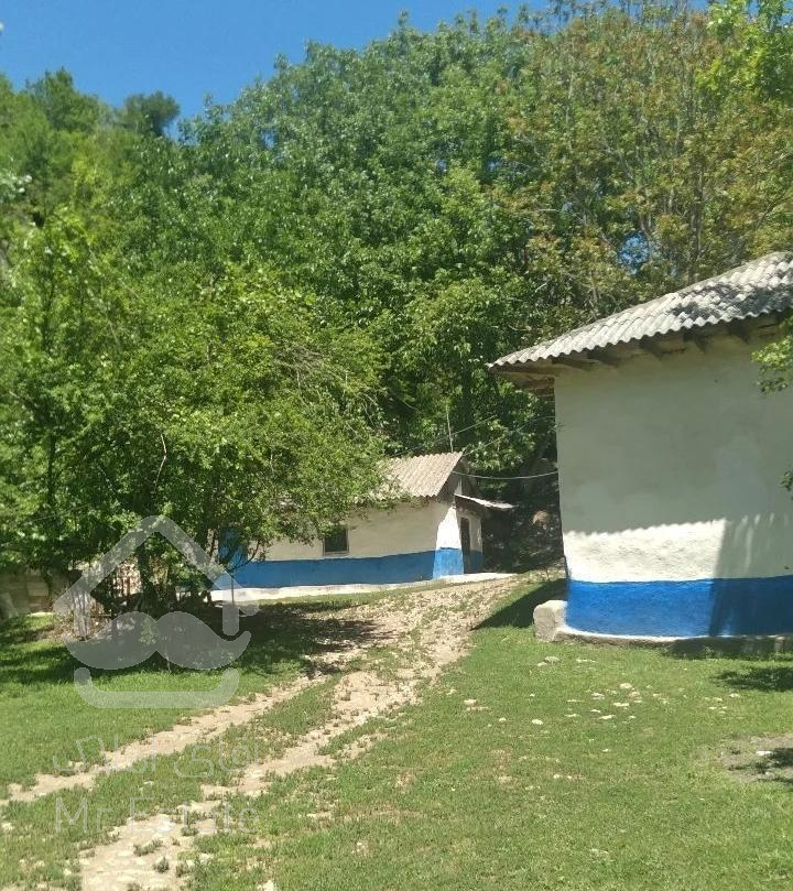 اجاره ویلا باغ سنتی،جنگلی،کوهستانی در روستای ارده