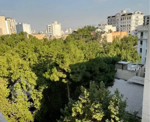 کامرانیه شمالی ۱۹۱ متر