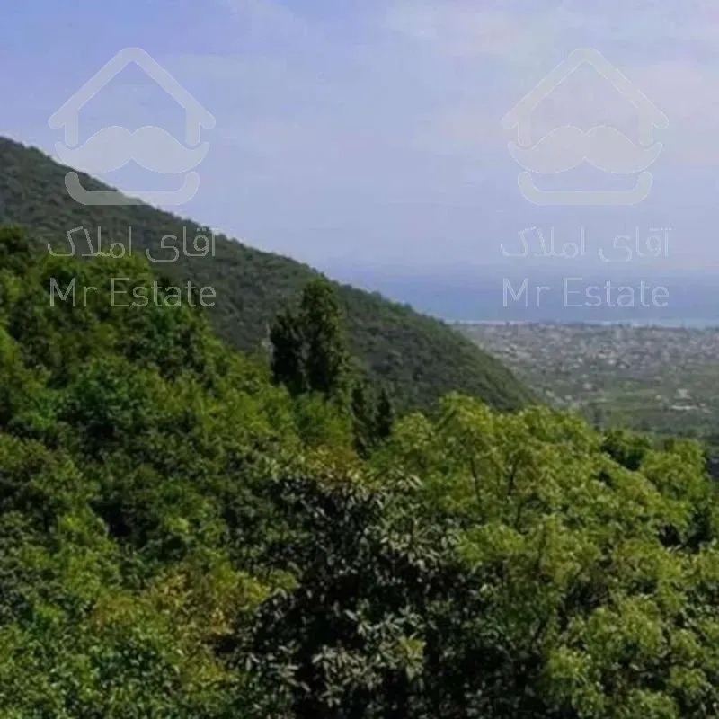 زمین 400 متری_جاده دو هزار_ ویو ابدی دریا و جنگل