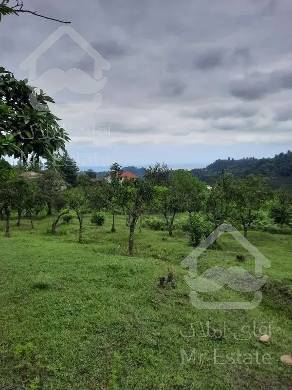 زمین  21000 متر_مناسب ساخت وساز_ رامسر