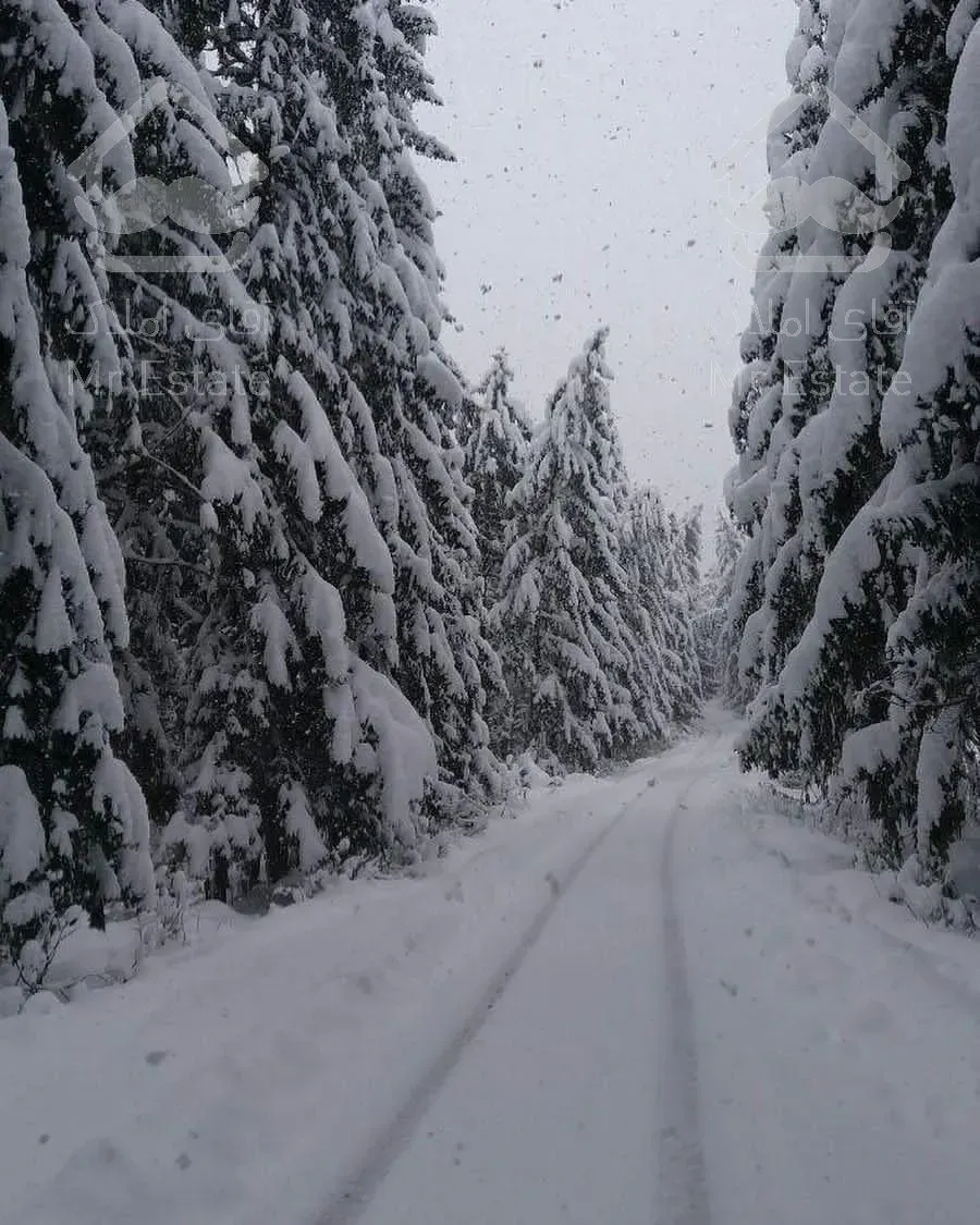 زمین  سوادکوه(بافت)