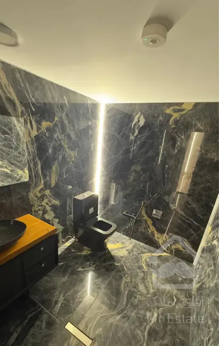 پنت هاووس ۶۰۰ متر تریبلکس دیپلماتیک