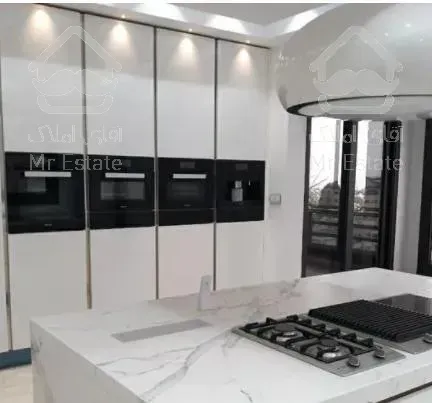 ۵۰۸ متر پنت هاووس واقع در سازه برند