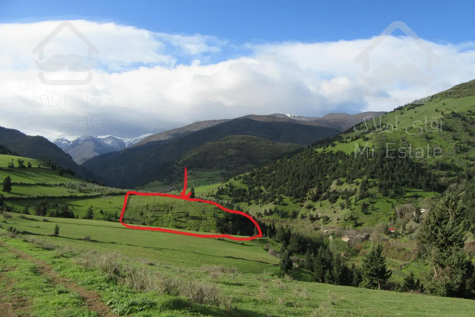 *باغ زیتون ومیوه در کنار رود  * بهشت گیلا ن*