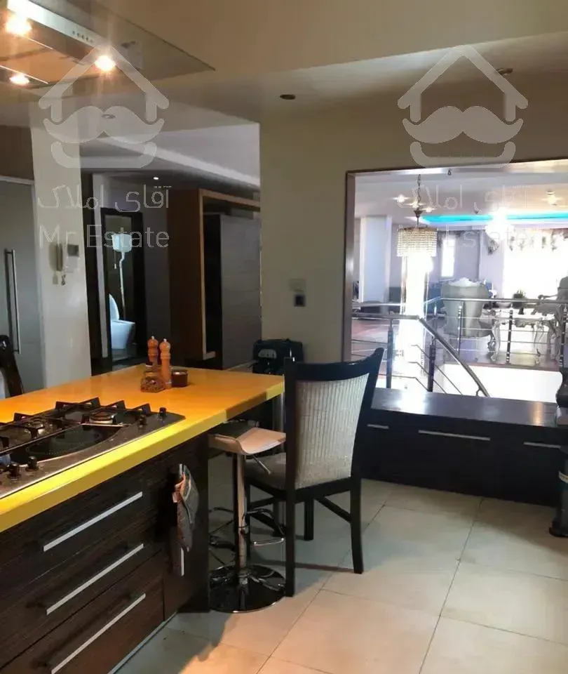 ۳۵۰متر کامرانیه «دوبلکس» (ویو مشجر) مجلل