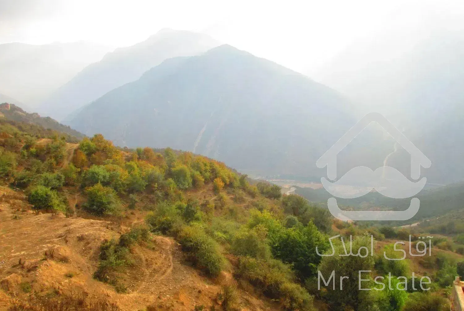 اجاره ویلای جنگلی-کوهستانی امین-روستای نرسو